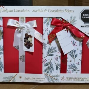 SURTIDO DE CHOCOLATES BELGAS RELLENOS 534 G GUDRUN