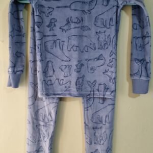 PIJAMA 2 PIEZAS PARA NIÑOS CARTER'S TALLA 6